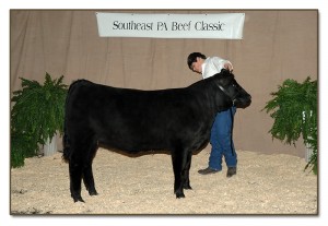 Eric Shoop and PVSM Dewy. Pictured at the Southeast Beef Classic, March 21, 2009.